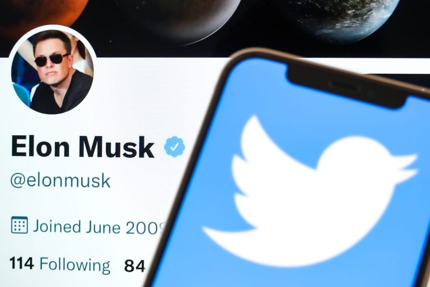 Twitter shareholders sue Elon Musk and Twitter over chaotic deal