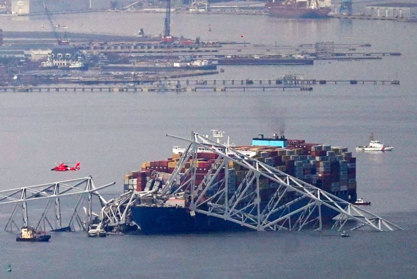 World’s biggest shipping firm dumps port cargo problem on U.S. companies